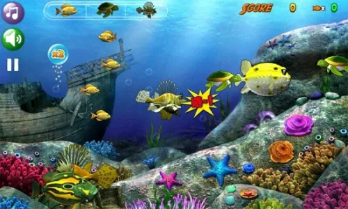 Big Fish Eat Small Fish(����������Ϸ)v1.0.41 �ٷ������ͼ