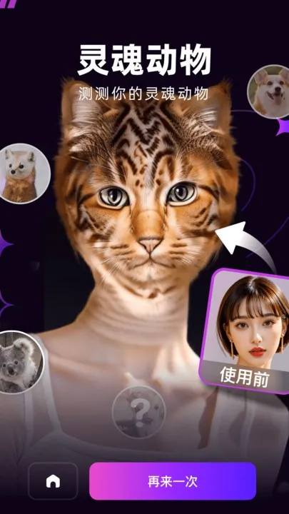 �ݸ������ֻ���v1.1.8 ��׿���ͼ