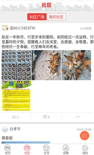 �����ɽ(�����ۺϷ���)v3.0.6 �ٷ������ͼ