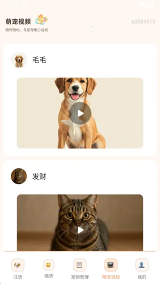 ��è�������������ֻ���