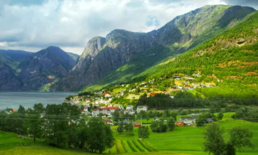 ������ֽ2025�ٷ����°汾