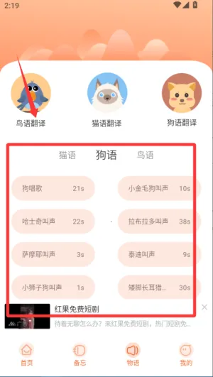 鹦鹉交流器(鹦鹉翻译互动) 鹦鹉交流器(鹦鹉翻译互动)