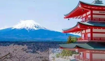 �Ƶ귵��(�Ƶ�Ԥ������)