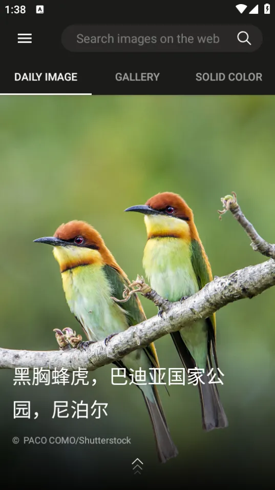 ��Ӧ��ֽ2025�ٷ�����v12.0.47470801 ��׿���ͼ