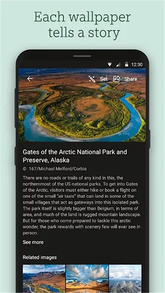 ��Ӧ��ֽ2025�ٷ�����v12.0.47470801 ��׿���ͼ