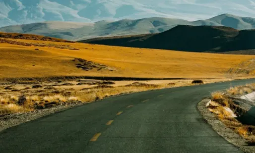 ��Ⱦ糡��׿���ֻ���