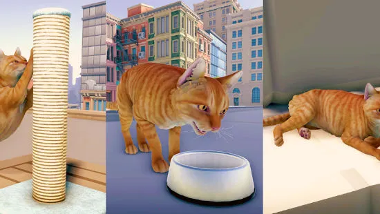 è�����ռǴ���(è�䶼��ð����Ϸ)v1.1 �ٷ������ͼ