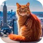 è�����ռǴ���(è�䶼��ð����Ϸ)