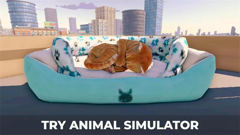 è�����ռǴ���(è�䶼��ð����Ϸ)v1.1 �ٷ������ͼ