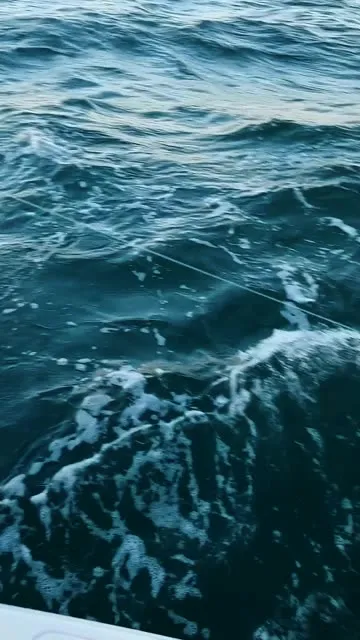 ��Ұ����2������ҫ2025���ذ�װv1.0.8 �ٷ������ͼ