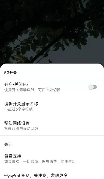 MIUI״̬��5G����(5G�����л�����)v1.2.9 �ֻ����ͼ