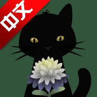 ����԰�հ�׿���ֻ���