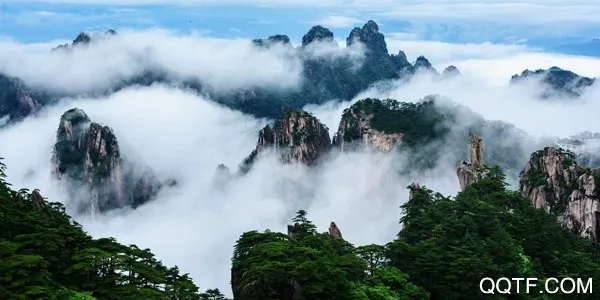 ��ɽ�ٷ�ƽ̨�����ֻ���