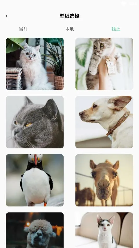 רעѧϰ��׿���ֻ���v25.11.26 �ֻ����ͼ