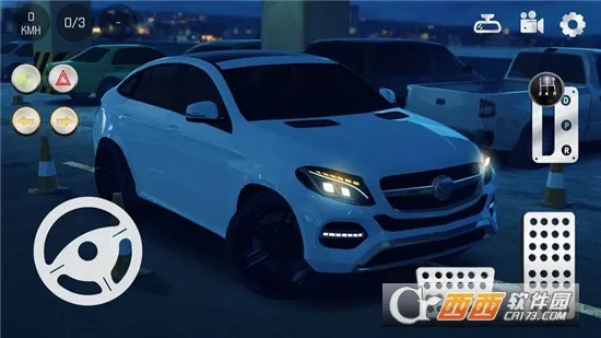 ��ʵ����(ͣ����ʻ��Ϸ)