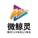 ΢���鰲׿���ֻ���V1.0 �ֻ���