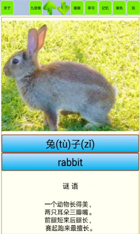 ����ʶ������������(����Ȥζƴͼ��Ϸ)v1.18 �ٷ������ͼ