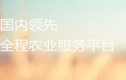 �ֵر�(ũ�ʹ���ƽ̨)