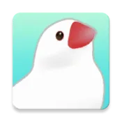 ��������2025���°汾