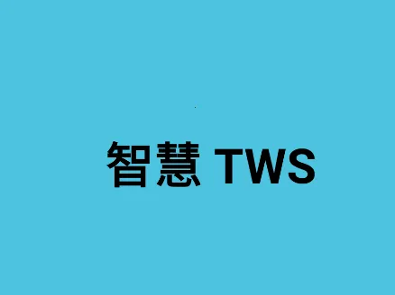 智慧TWS2026官方正版 智慧TWS2026官方正版