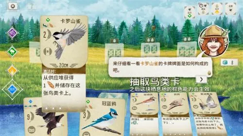 չ�᰿��2026�ٷ�����