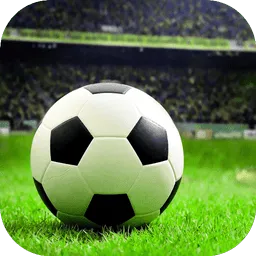 ����ھ�����