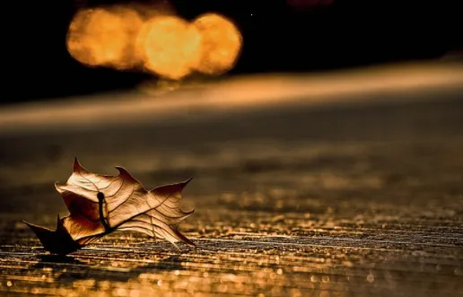 �����嵥2026�ٷ����°汾