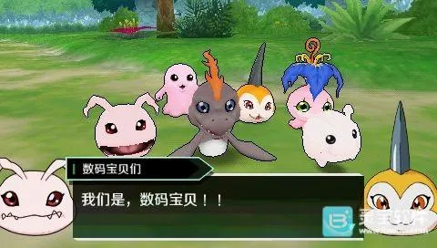 ���뱦����ð��������׿���ֻ���