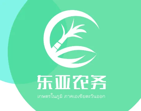 ����ũ��2026�ٷ����°汾