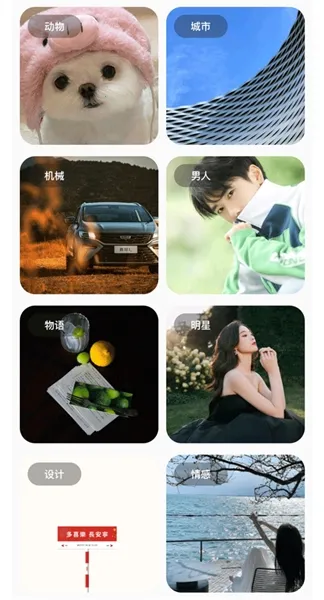 �ʺ�èpro�����2026���°汾v1.7.31 ��Ѱ��ͼ