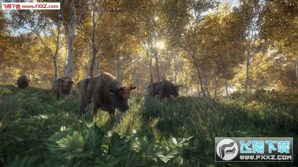 ����Ұ�Եĺ���v1.5 ��׿���ͼ