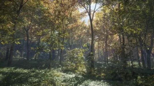 ����Ұ�Եĺ���