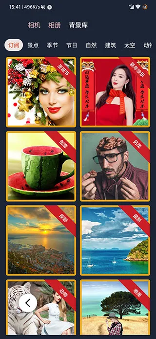 ProKnockout2026���ذ�װ