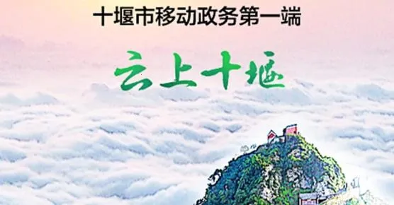 ����ʮ�߰�׿���ֻ���