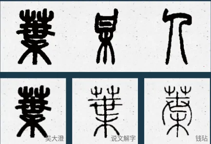 �鷨���ֵ䰲׿���ֻ���