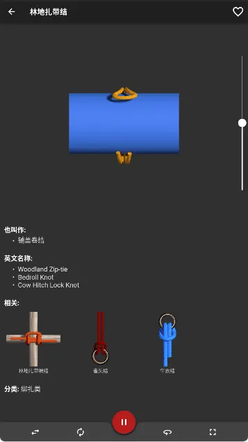 Knots 3D2026���ذ�װv8.3.7 �ֻ����ͼ