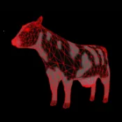 ���˻���������