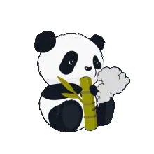 С��è������2026���°汾v4 ��׿��