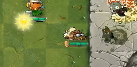 ֲ���ս��ʬ����