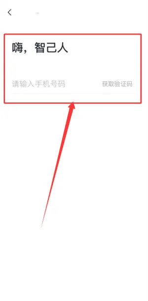 im智己汽车 im智己汽车