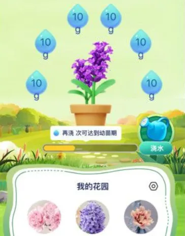 喵喵的花园 喵喵的花园