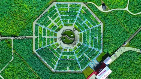 ������ý2026���ذ�װ