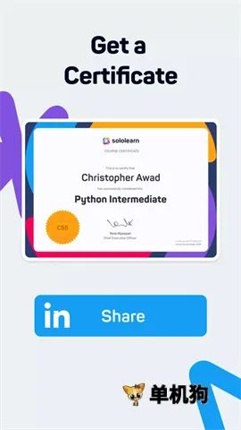 SoloLearn�����ֻ���v4.0.5 ��׿���ͼ