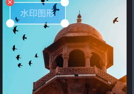 微商视频助手VIP 微商视频助手VIP