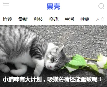 ����2026���ذ�װ