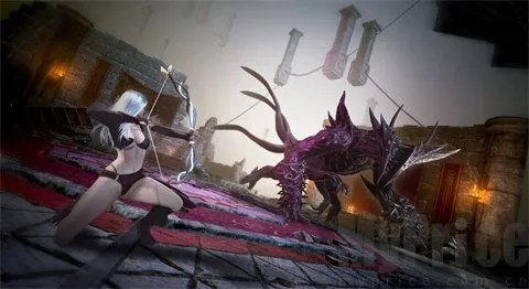 ����ʮ��2026�ٷ�����