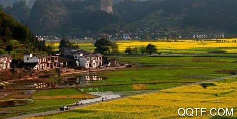 新新宁(新宁资讯服务端) 新新宁(新宁资讯服务端)