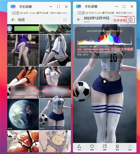 ����Э����������ҫ