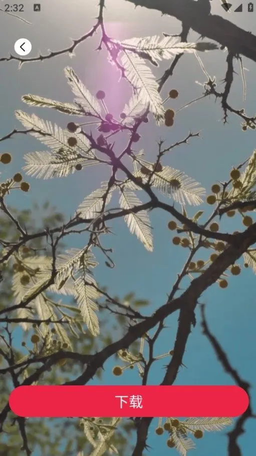 tibni�������v1.0.0 ��Ѱ��ͼ