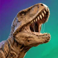 ���ǿ���2026�ٷ�����